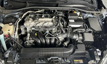 Xin tư vấn chống chuột cho Corolla Cross?