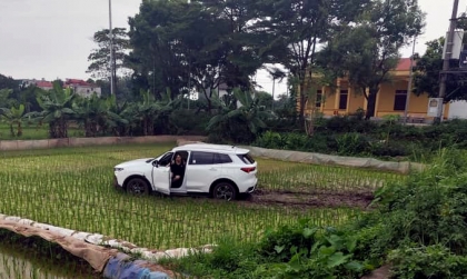 Clip TNGT: Ford Territory BKS 30K 12136 mất lái lao thẳng xuống ruộng