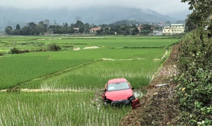 Ảnh TNGT: Mất lái Audi A6 30F 33814 lao thẳng xuống ruộng