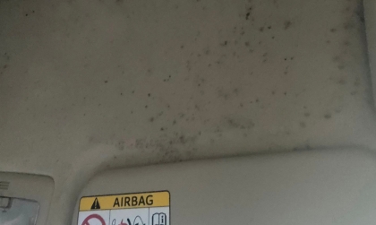 Xử lý trần xe Toyota Vios bị mốc thế nào?