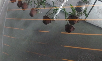 Bật sấy kính cho Tucson 2022 thế nào các cụ ơi!