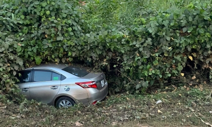 Ảnh TNGT: Mất lái, Toyota Vios chui tọt vào lùm cây