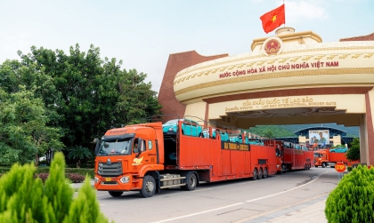 Lô xe taxi điện VinFast VF 5 Plus sẵn sàng có mặt tại Lào