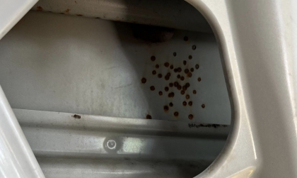 Đi xe XL7 2 năm mà vỏ bị thế này, có cách nào xử lý không các bác?