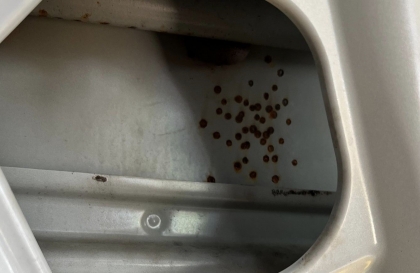 Đi xe XL7 2 năm mà vỏ bị thế này, có cách nào xử lý không các bác?