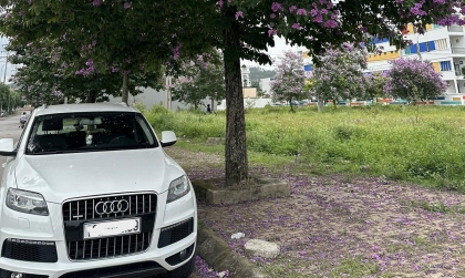 Xử lý xe Audi Q7 bị kêu mỗi khi ra phanh thế nào?