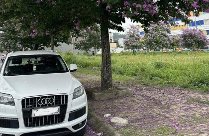 Xử lý xe Audi Q7 bị kêu mỗi khi ra phanh thế nào?