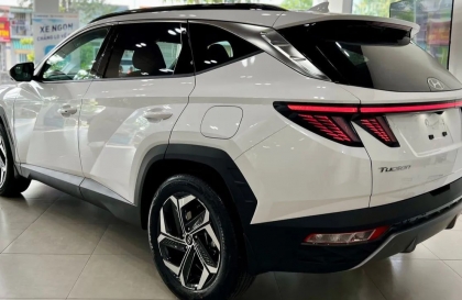 Cửa sau xe Tucson bị kẹt có phải thay gioăng?