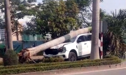 Ảnh TNGT: Không làm chủ tốc độ, Ford Everest lao dải phân cách, hạ gục cây to