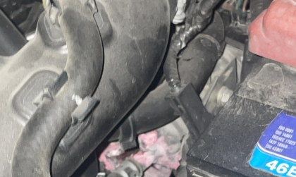 Toyota Vios có dung dịch đỏ lem trong khoang máy là bị gì?