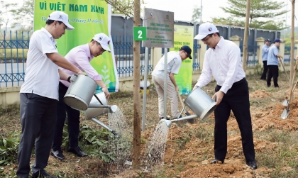 Đóng góp xã hội: Toyota Việt Nam tiếp tục thực hiện chương trình “1 tỷ cây xanh - Vì Việt Nam xanh