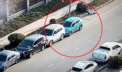 Clip TNGT: Toàn cảnh taxi Xanh SM đâm luôn vào khách vừa xuống xe, ủi hàng loạt xe khác
