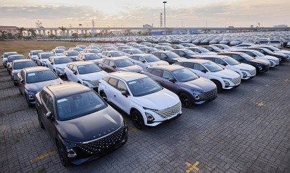 Nhập khẩu ô tô năm 2024: Số lượng và giá trị xe từ Trung Quốc tăng đột biến