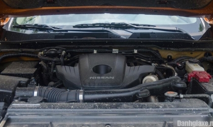 Navara kêu như thổi sáo là do đâu?