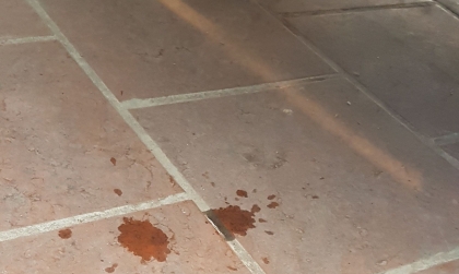 Nước chảy ở bô xe Vios thế này có phải bị lỗi gì không?