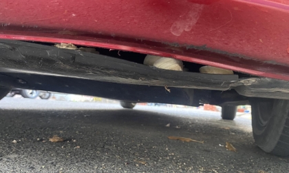 Xin cách đuổi chuột cho Mazda2 với ạ!