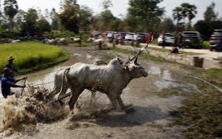 Ford Việt Nam tổ chức hành trình “Khám Phá Ford Territory - Tiếp Nối Di Sản 2025”
