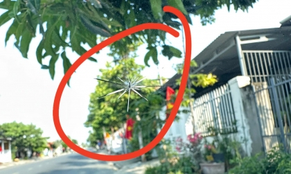 Kính xe Mazda3 bị bể thế này thì nên làm sao?