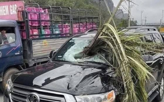 Ảnh TNGT: Hy hữu Ford Ranger đâm văng cây cau, làm thủng kính chắn gió Land Cruiser