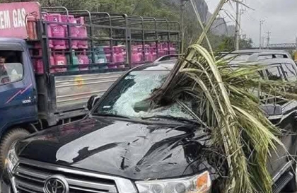Ảnh TNGT: Hy hữu Ford Ranger đâm văng cây cau, làm thủng kính chắn gió Land Cruiser