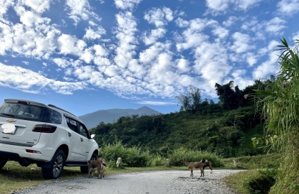 Làm sao xử lý được cốp điện bị kẹt trên Trailblazer