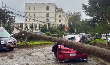 Ảnh TNGT: Ford Everest và Terriory bị cây đè cạnh nhau tại Đà Lạt