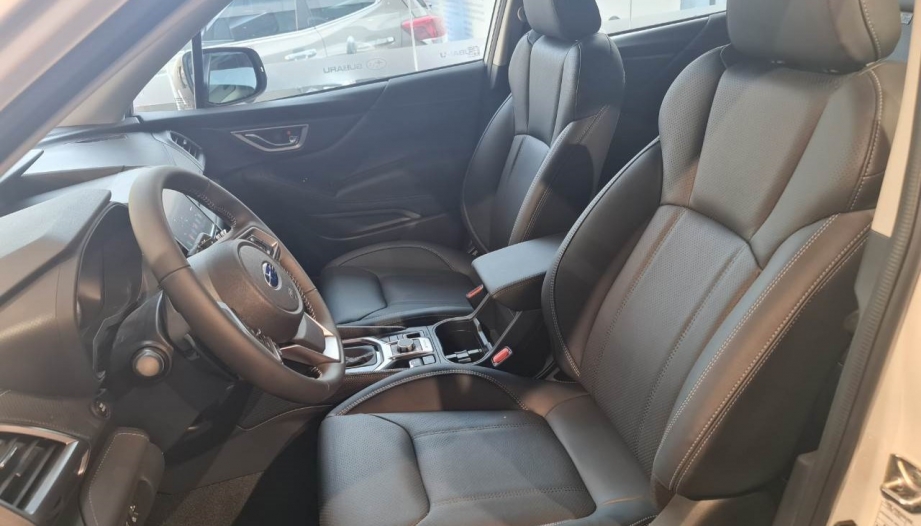 Xin cách làm sạch vải nỉ ở ghế trước xe Forester
