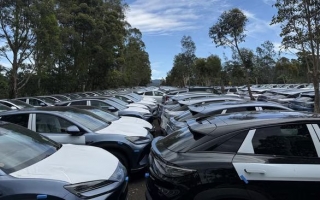 BYD gặp rắc rối tại Úc: Hàng nghìn ô tô bị phát hiện lưu trữ trái phép