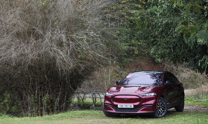 Ford Mustang Mach-e: Biểu tượng mới của Blue Oval trong kỷ nguyên điện hoá