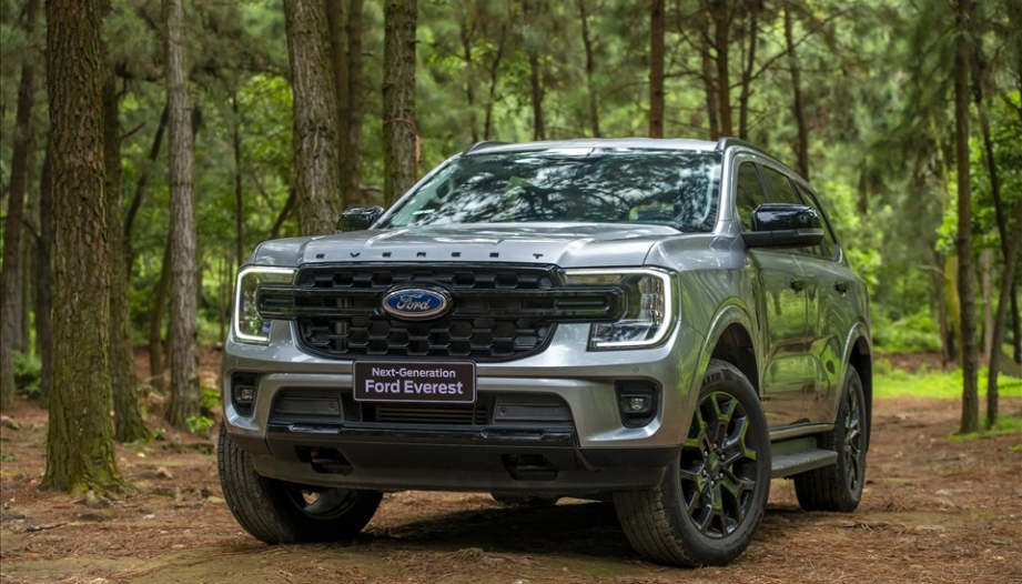 Xin tư vấn kim báo nhiên liệu trên Ford Everest bị ảo?