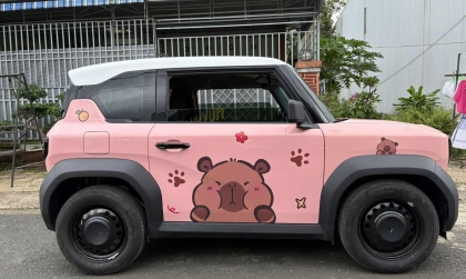 VF 3 có tiếng lộc cộc khi mở cửa xe thì phải làm gì để khác phục?