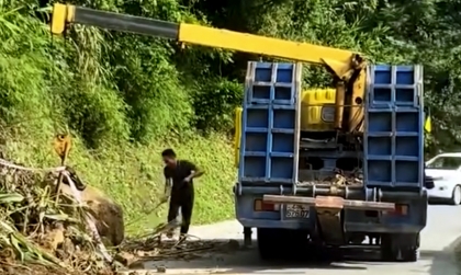 Ý thức Giao thông: