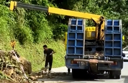 Ý thức Giao thông: