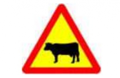 Nhóm biển báo nguy hiểm và cảnh báo: Biển số W.230 có ý nghĩa gì?