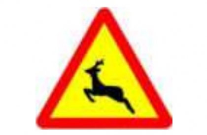 Nhóm biển báo nguy hiểm và cảnh báo: Biển số W.231 có ý nghĩa gì?