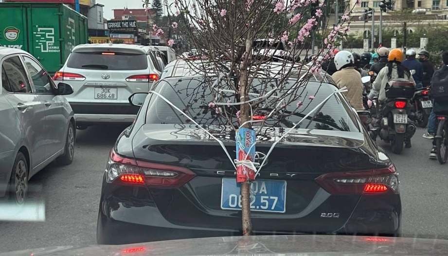 Ý thức Giao thông: Tài xế cầm lái Toyota Camry biển xanh 80A bị phạt 23 triệu đồng vì chở đào che biển số