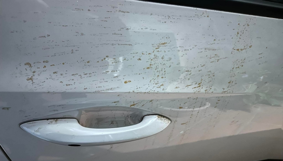 Xin các bác cho cách xử lý Ford Everest bị dính bẩn thế này