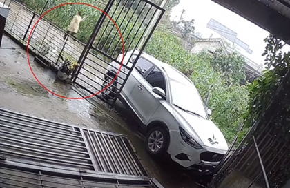 Clip TNGT: Nữ tài xế vứt cả Mazda CX-5 bỏ chạy sau khi ủi vào nhà dân ven đường...