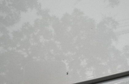 Mazda CX-5 mới đi nửa năm mà sơn thế này là do đâu thế?