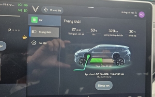 Các bác cho em hỏi vấn đề tay lái Vinfast Vf9 bị giật rung khi dùng ADAS và sạc chậm