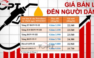 Giá xăng dầu điều chỉnh ngày 09/04: Dầu diesel giảm gần 10.000 đồng/lít