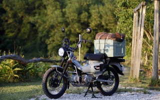 Thế giới 2 bánh: Honda Việt Nam bán hơn 7.782 xe máy mỗi ngày trong tháng 3/2026