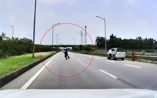 Clip: Tài xế phanh chổng đít trên cao tốc tránh bà chị đang tung cánh bay sang vạt cỏ may giữa đường