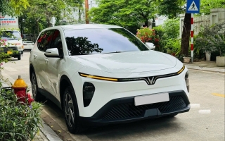 Sao xe Vinfast Limo Green lâu không dùng giờ không nổ máy được?