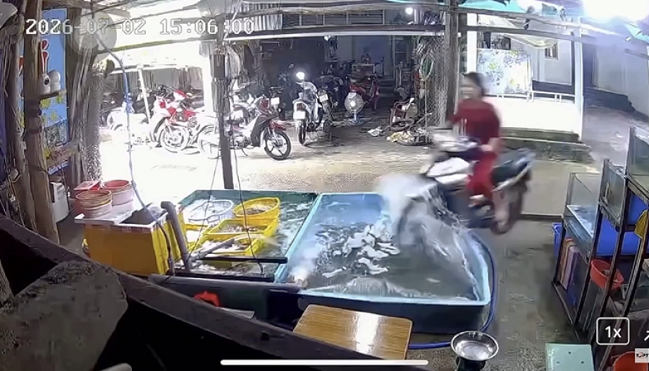 Clip TNGT: Ủng hộ đưa giáo dục 