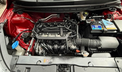 Kia Soluto bao lỗi cá vàng có sao không?