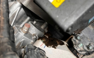 BYD M6 bị chảy dầu thế này thì khắc phục sao?