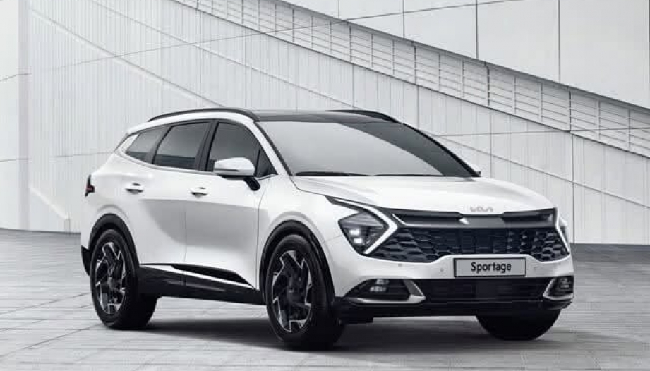 Các bác đi Kia Sportage có cách xử lý nào với mấy lỗi sau không?