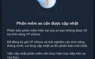 Vì sao Vinfast Limo Green không kích hoạt được VF Estore?