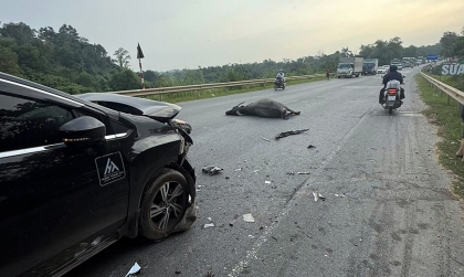 Clip TNGT: Trực tiếp gây tai nạn cho Xpander, Lamborghini còn gián tiếp khiến hai ông Howo đâm nhau.